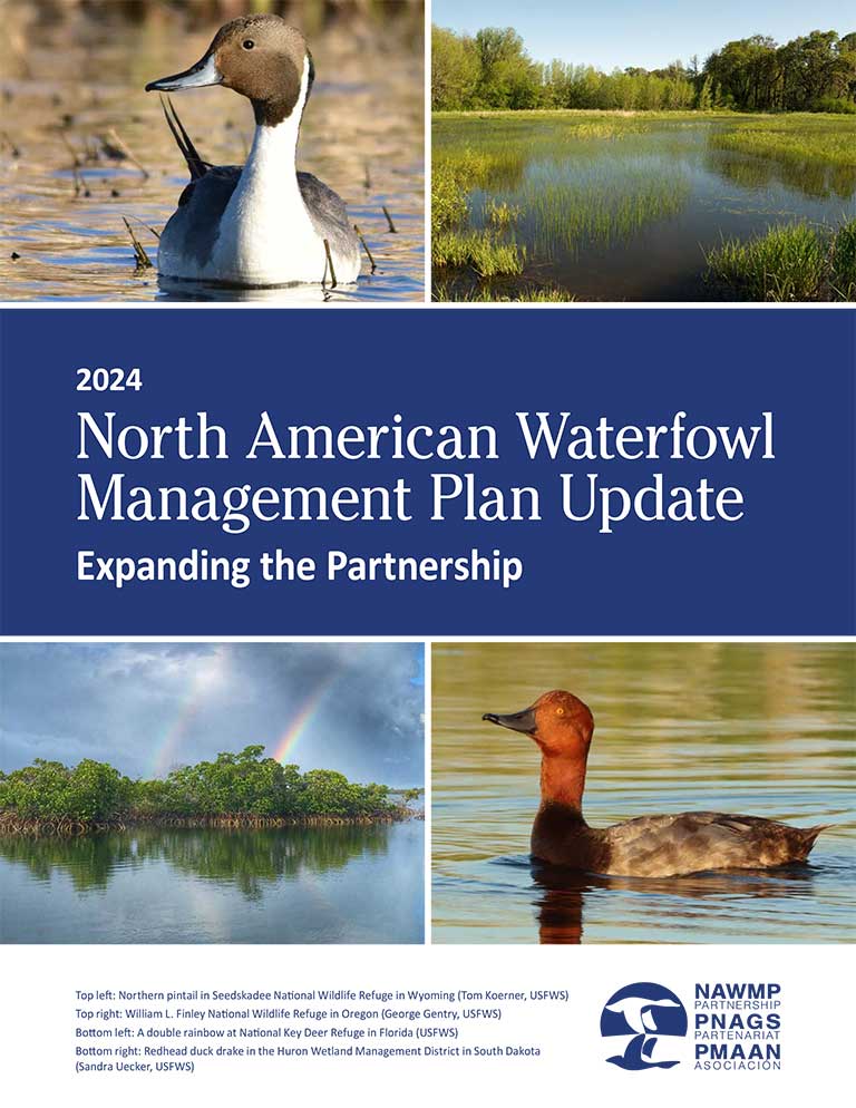 North american waterfowl management plan update
