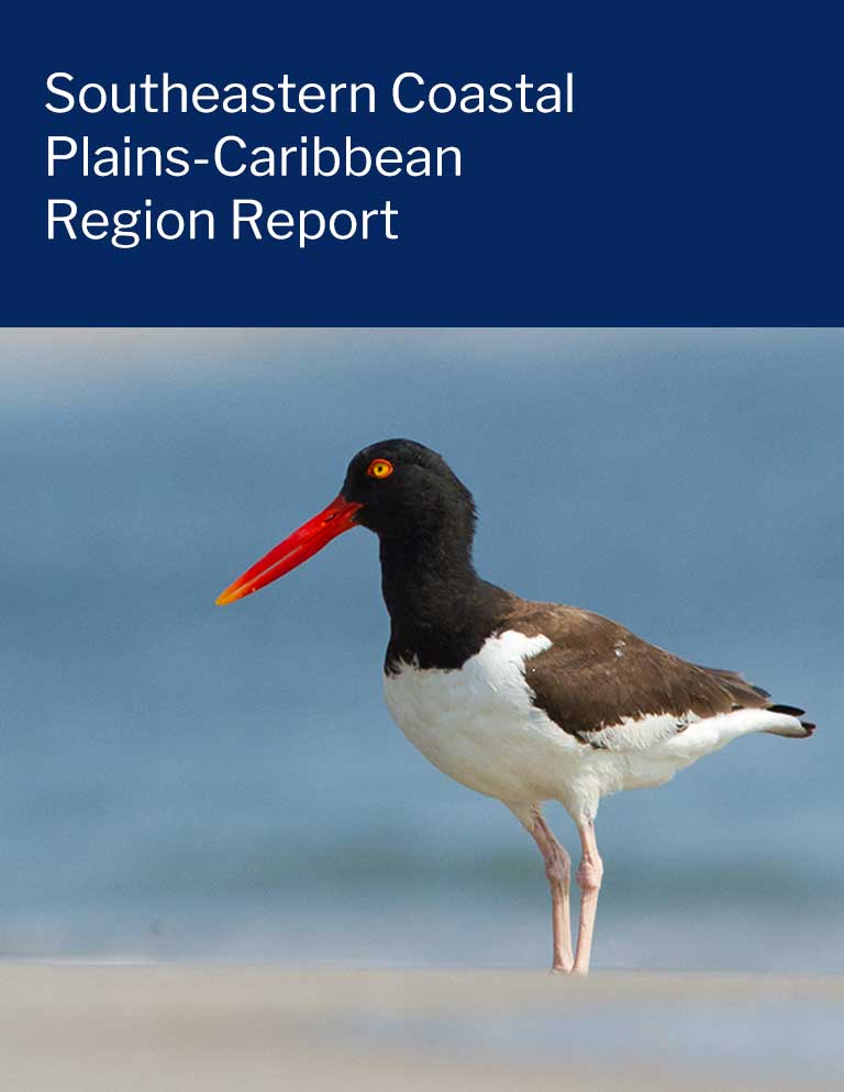 Southeastern coastal plains carribbean region report