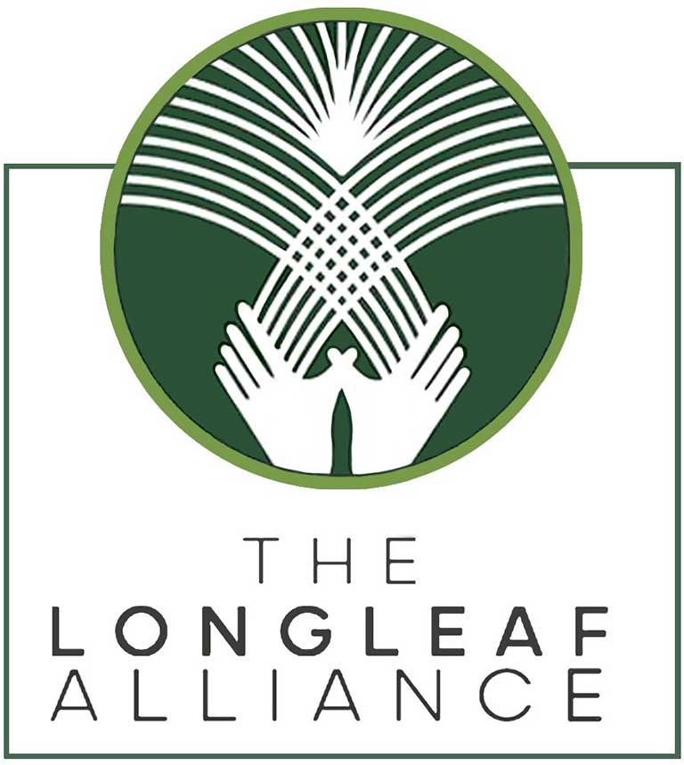 The Longleaf Alliance