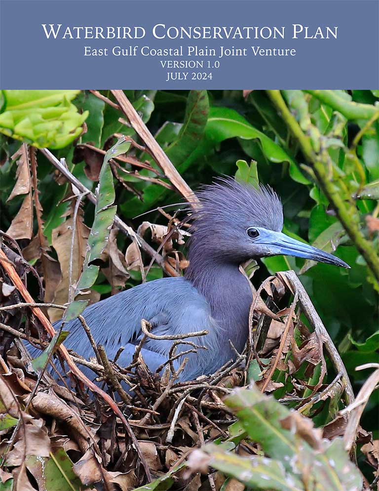 Waterbird conservation plan east gulf coastal plain joint venture
