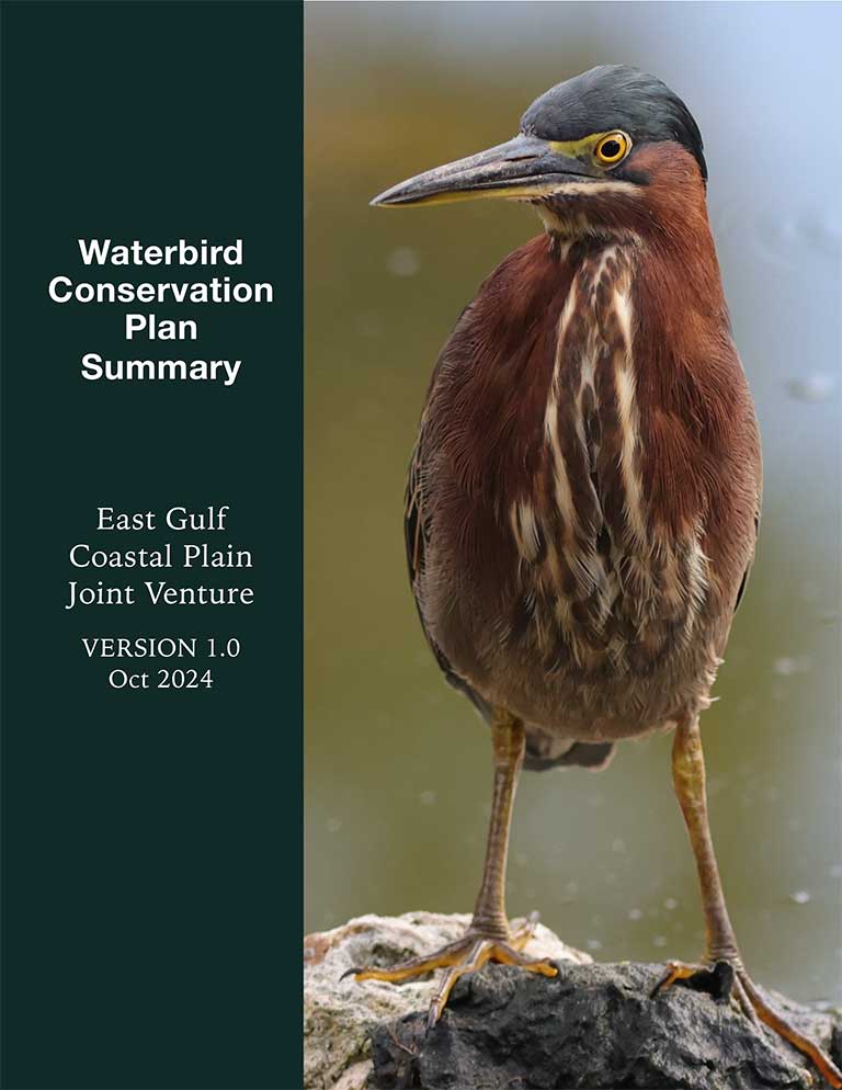 Waterbird conservation plan summary east gulf coastal plain joint venture