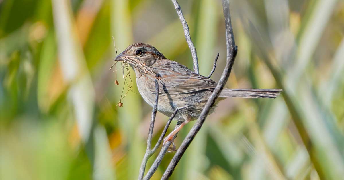 Partner Spotlight: Dr. Phil Darby