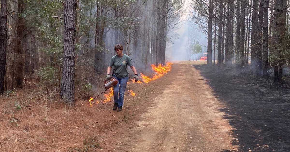 Blue Jean Burning: Working Together to Manage Lands in Southwest Alabama